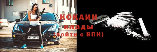 твердый Алексин