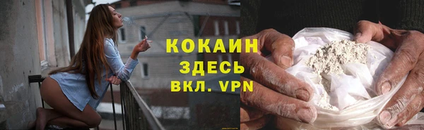 твердый Алексин