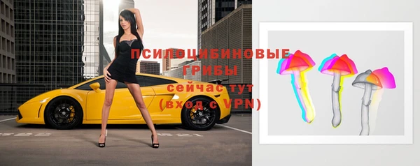 винт Алексеевка